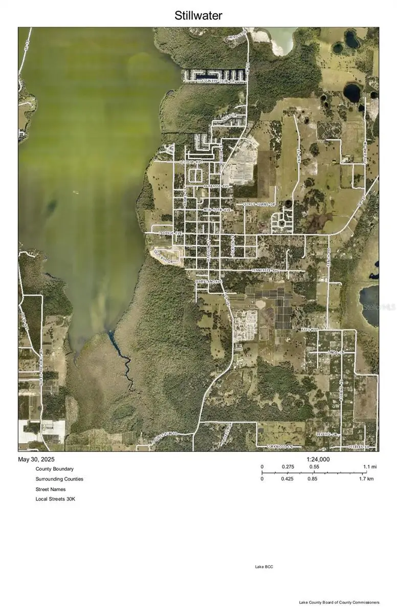 12950 Stillwater Cove Drive, Astatula, FL 34705 - Image #3