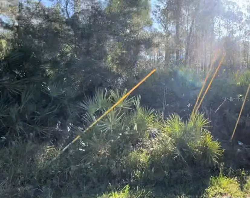 1645 11th Avenue, Deland, FL 32724 - Image #1