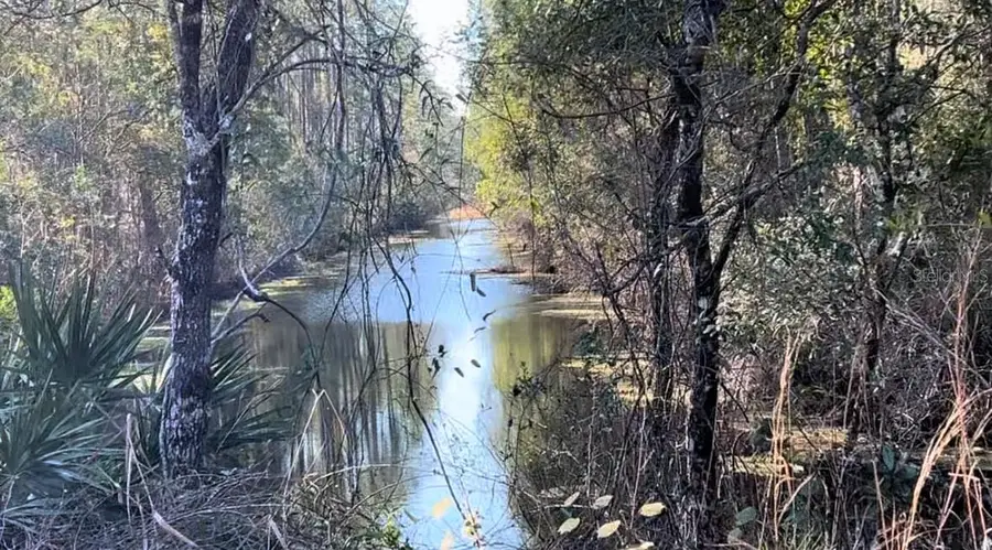 1645 11th Avenue, Deland, FL 32724 - Image #2