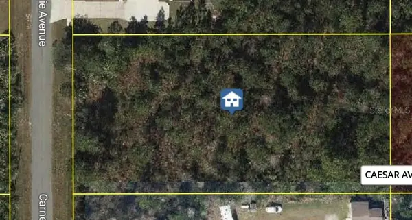 Carnegie Avenue, ORLANDO, FL 32833