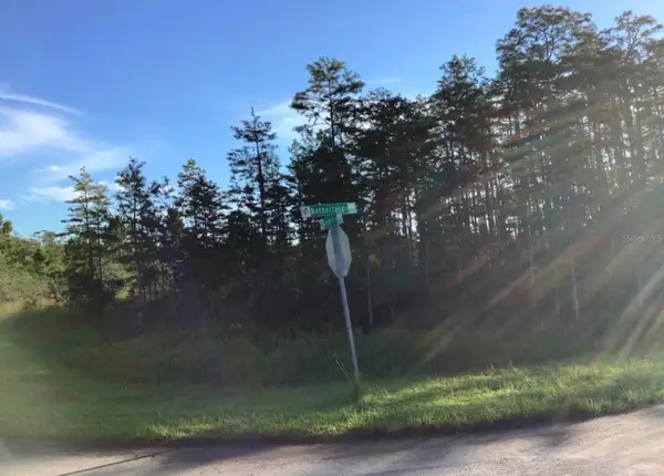 Netherland Street, ORLANDO, FL 32833