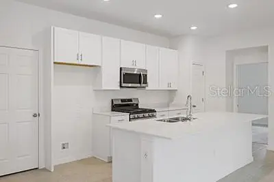 9112 Wildlight Trail, Wildwood, FL 34785 - Image #2