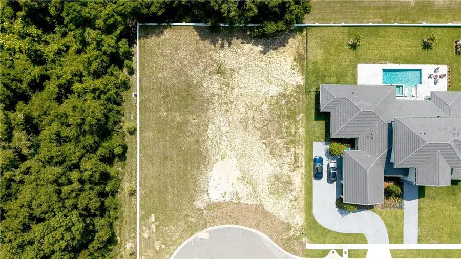 2504 Windermere Reserve Court, Windermere, FL 34786 - Image #2