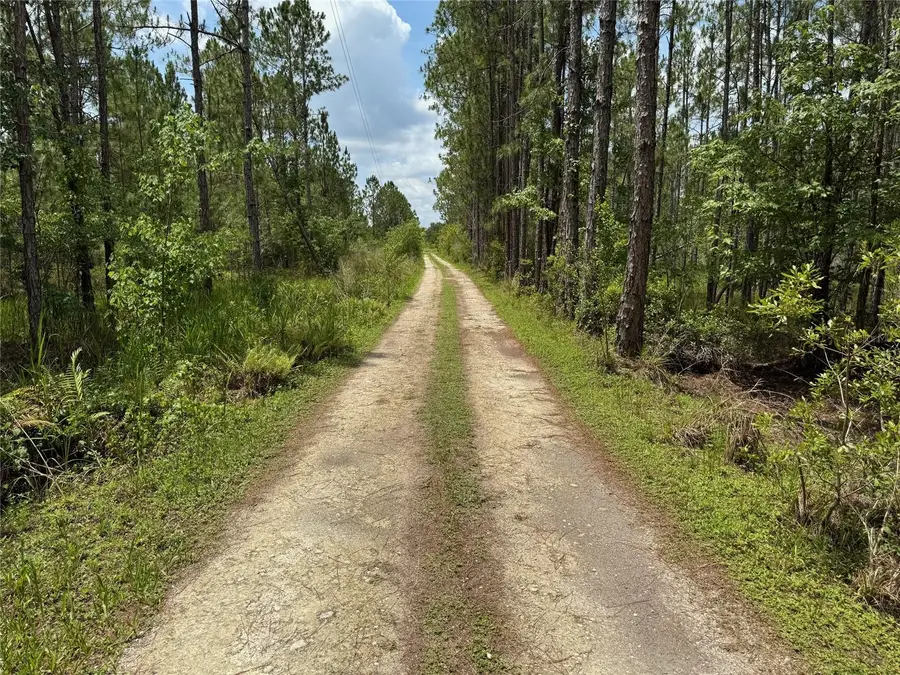 Havana Road, Clermont, FL 34714 - Image #2