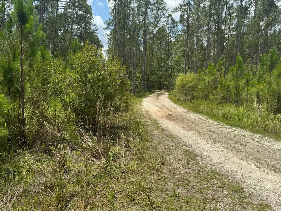 Havana Road, Clermont, FL 34714 - Image #3