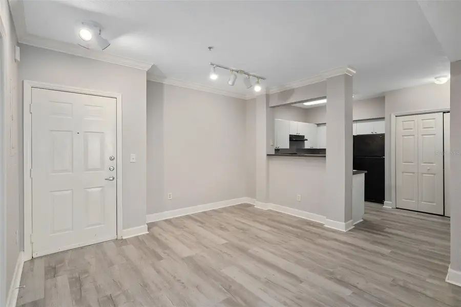 206 E South Street #6007, Orlando, FL 32801 - Image #3