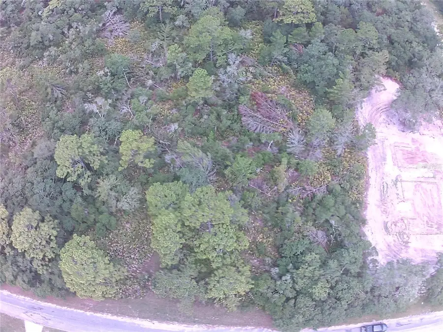 E Cashew Court, Eustis, FL 32736 - Image #3