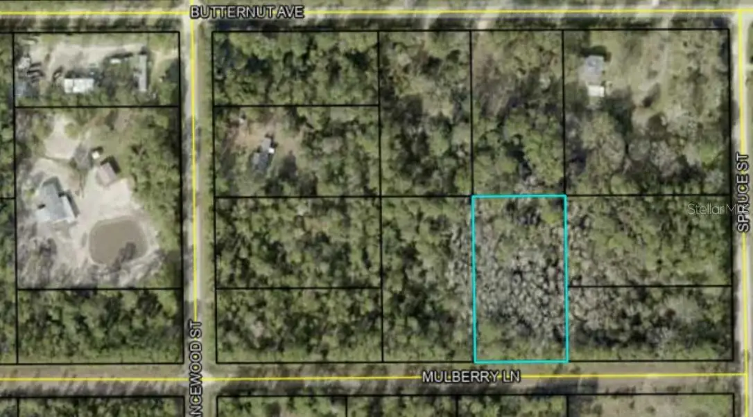 5414 Mulberry Lane, Bunnell, FL 32110 - Image #1