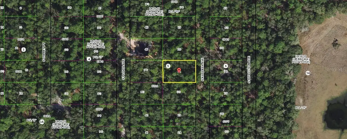 3862 S Killdeer Avenue, Inverness, FL 34450 - Image #1