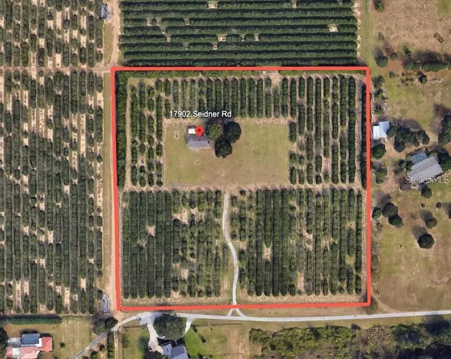 17902 Seidner Road, Winter Garden, FL 34787 - #3