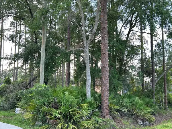 2050 10th Avenue, DELAND, FL 32724