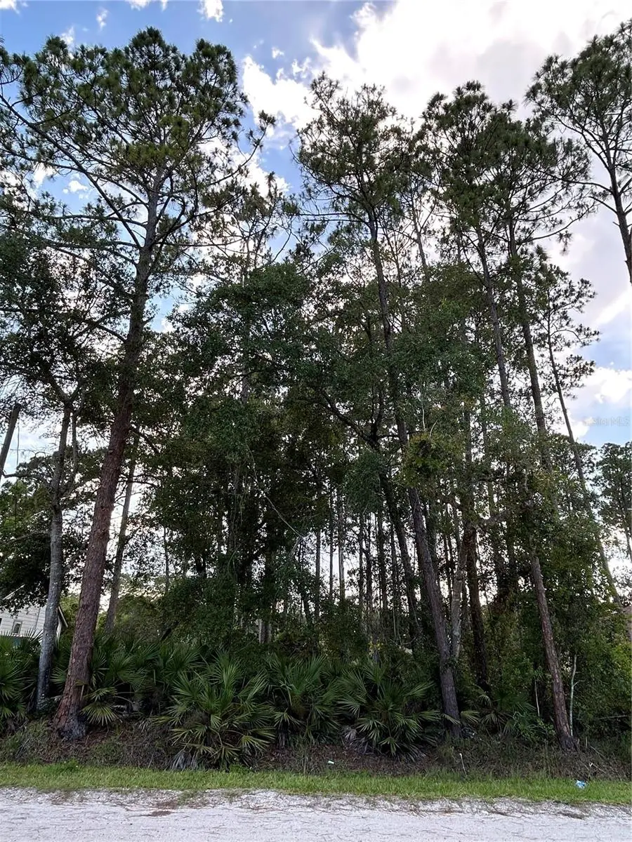 2050 10th Avenue, Deland, FL 32724 - Image #2