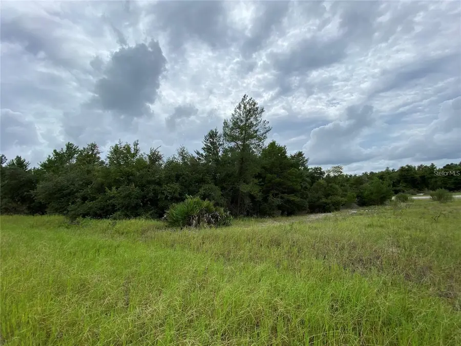 1362 Homosassa Drive, Poinciana, FL 34759 - #3