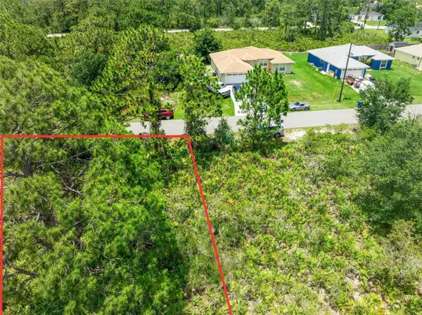 342 Piper Street Nw, LAKE PLACID, FL 33852