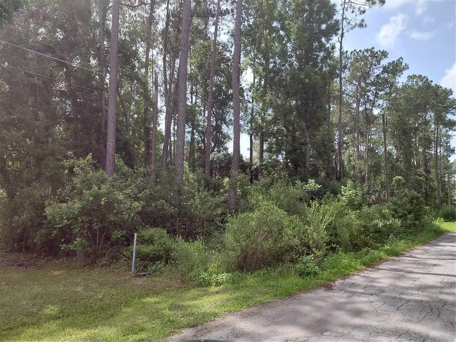 James Street, Astor, FL 32102 - Image #2