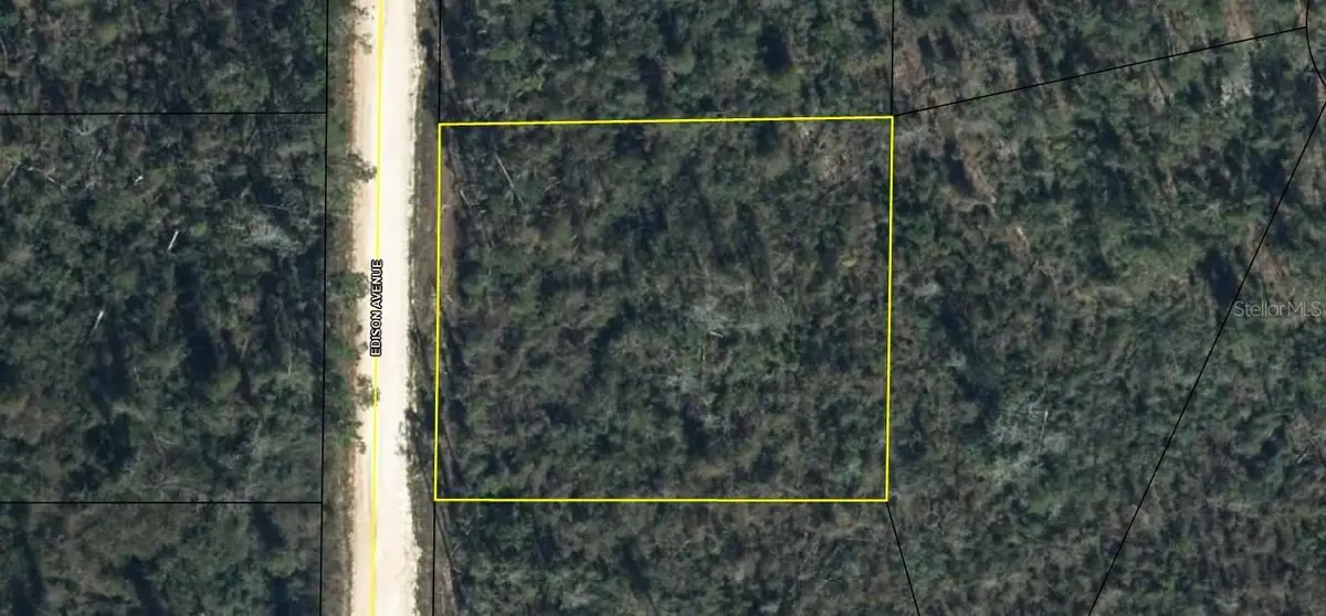 Edison Avenue, Alford, FL 32420 - Image #1
