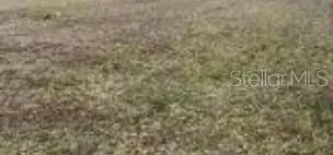 0 NW 26th Street, WINTER HAVEN, FL 33881