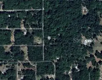 Se 130th Pl, Belleview, FL 34420 - Image #2