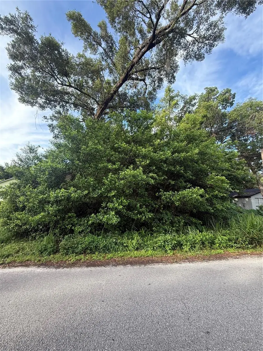 Valencia Avenue, Orange City, FL 32763 - Image #1