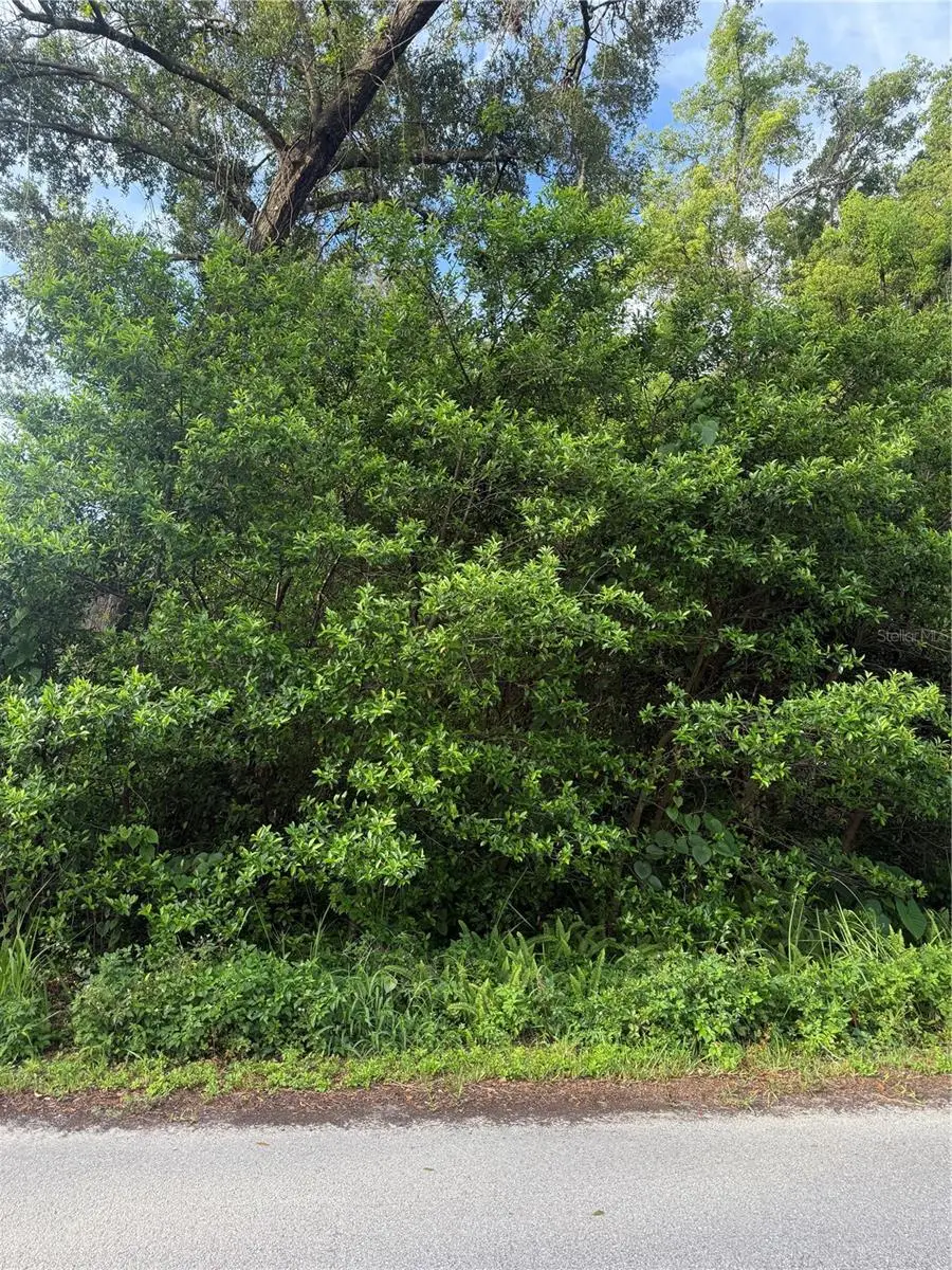 Valencia Avenue, Orange City, FL 32763 - Image #2