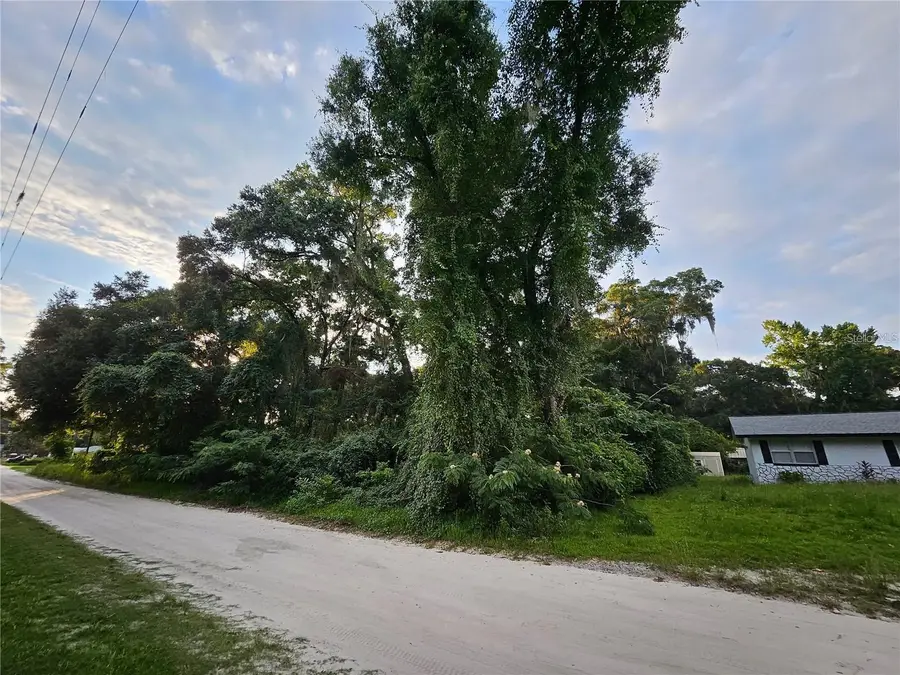 SE 131 Place, Belleview, FL 34420 - Image #2