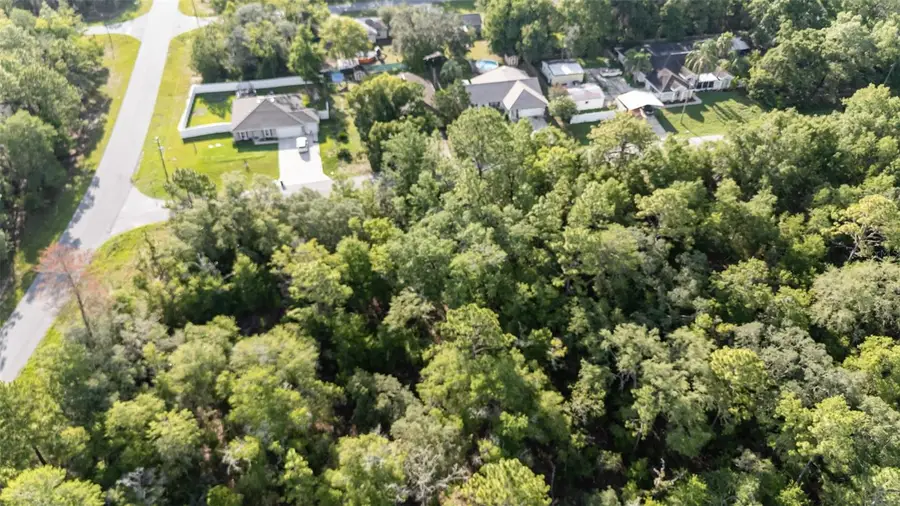 11395 N Cathy Terrace, Citrus Springs, FL 34434 - Image #2