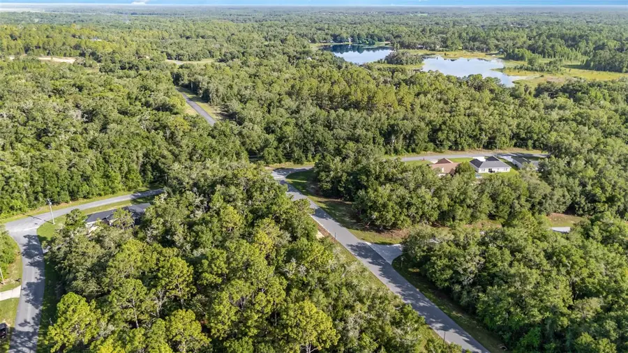 11395 N Cathy Terrace, Citrus Springs, FL 34434 - Image #3