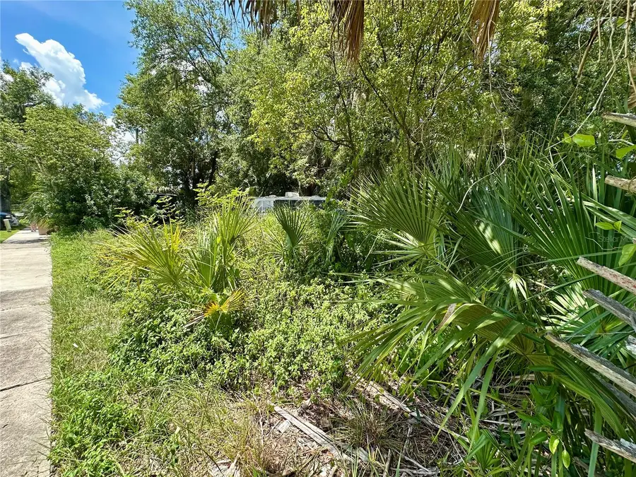 1546 Immocalee Street, Intercession City, FL 33848 - Image #2