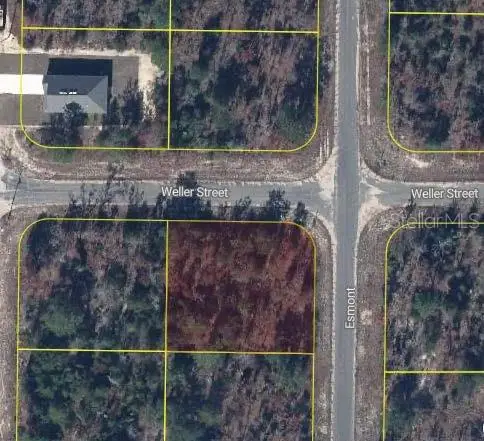 Esmont Avenue, Chipley, FL 32428 - #2