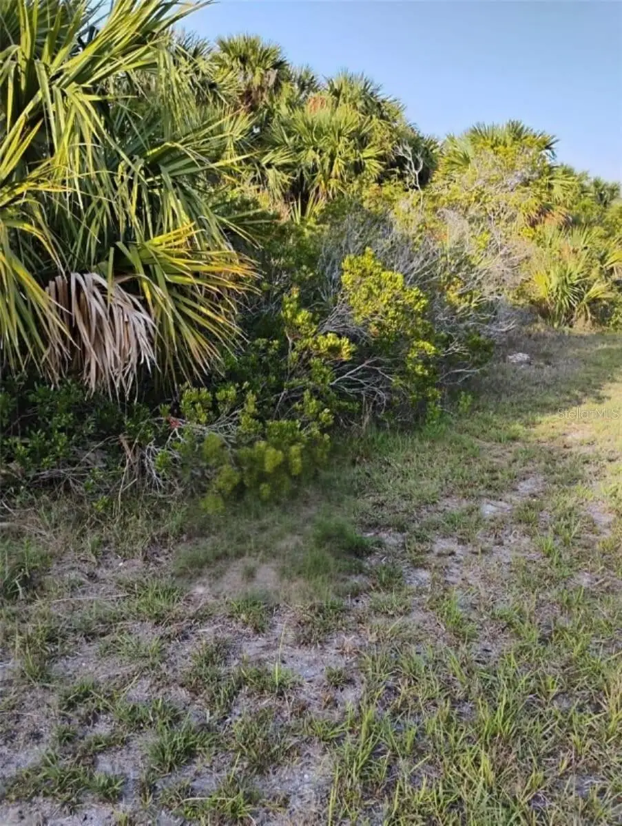 693 Sandlewood Street Sw, Palm Bay, FL 32908 - #1