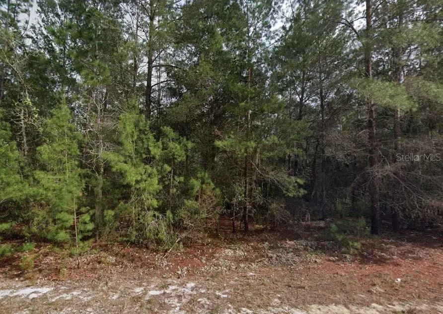 Theresa Avenue, Interlachen, FL 32148 - #1