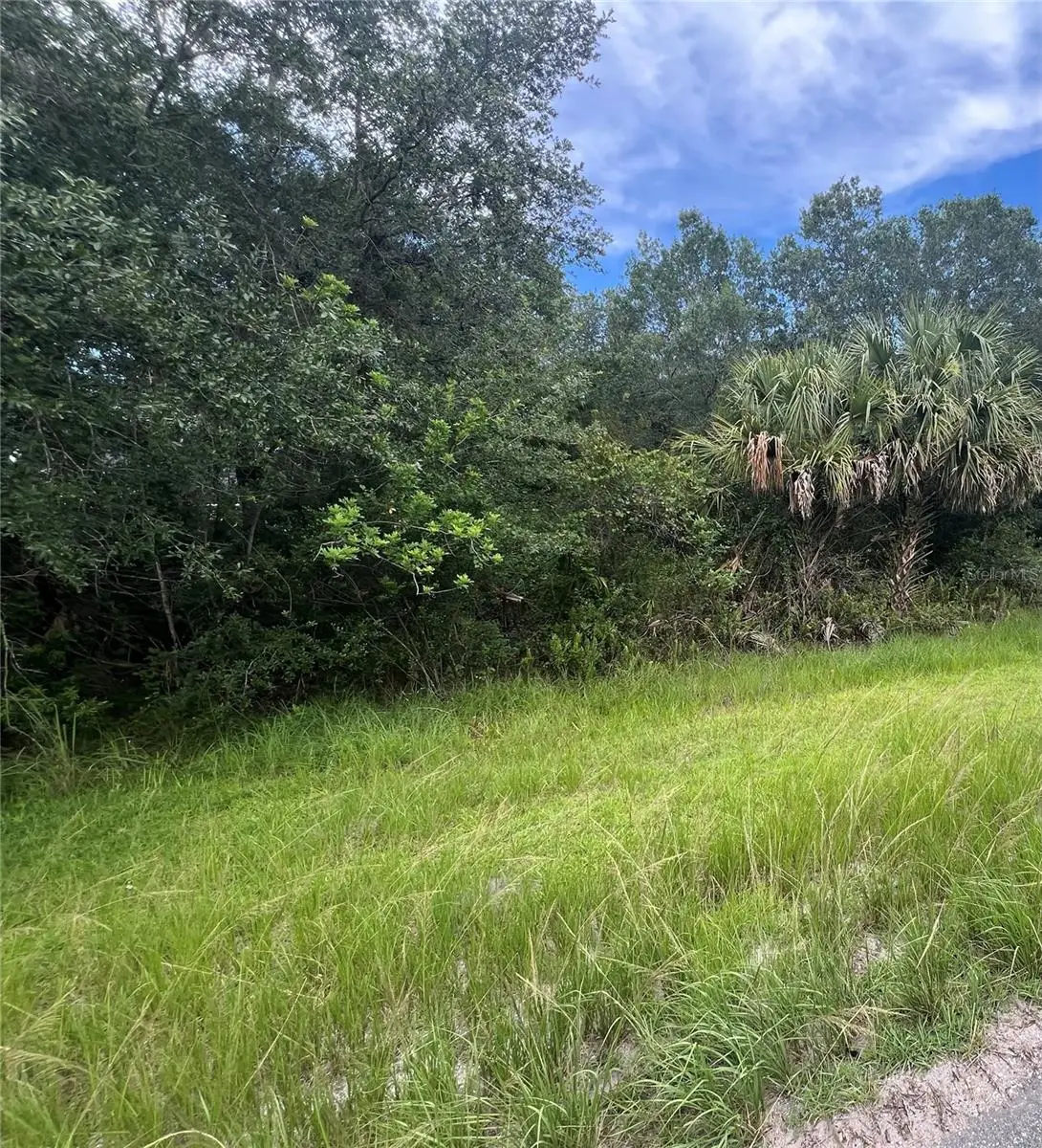 Dallas Boulevard, Orlando, FL 32833 - Image #1