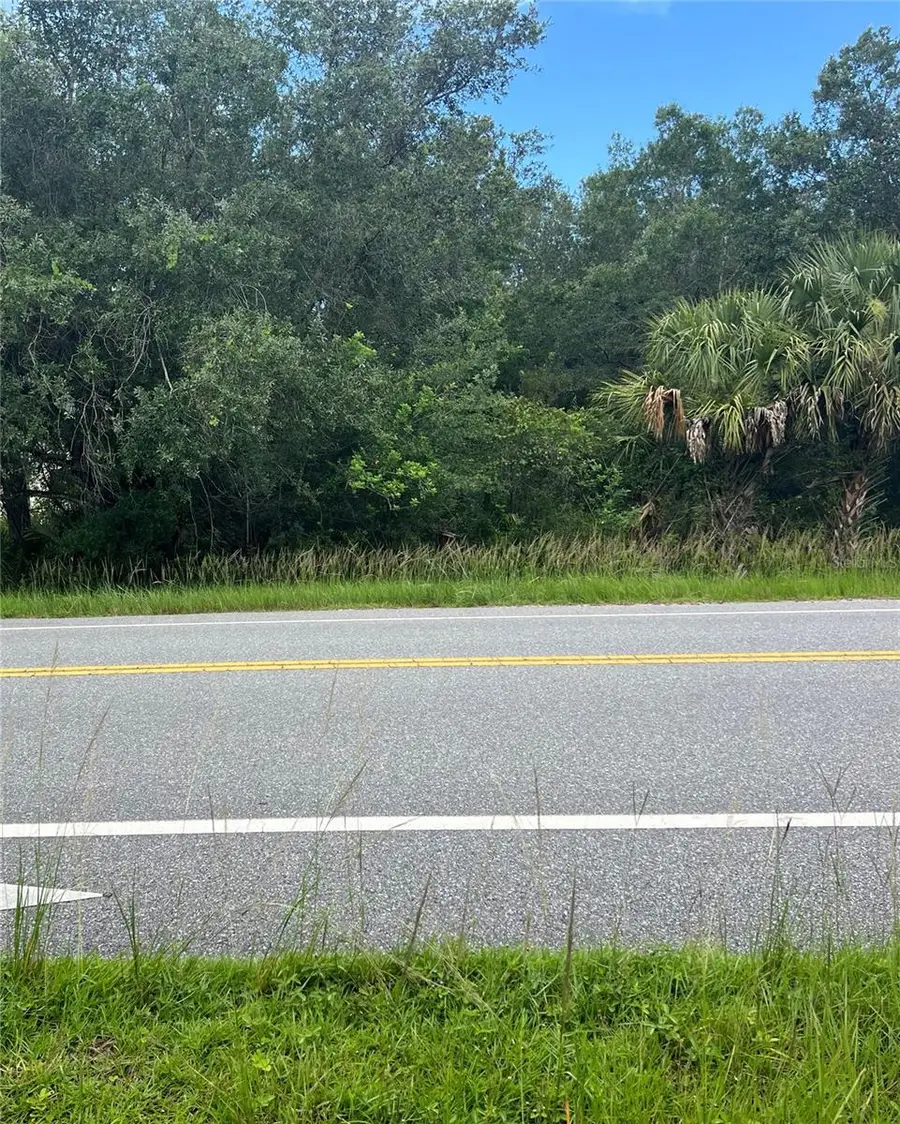 Dallas Boulevard, Orlando, FL 32833 - Image #2