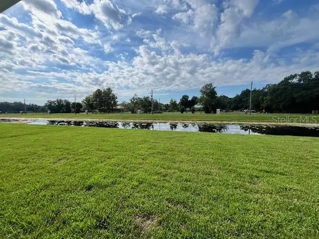 1347 Scarlett Sage Lane, Sanford, FL 32773 - Image #3