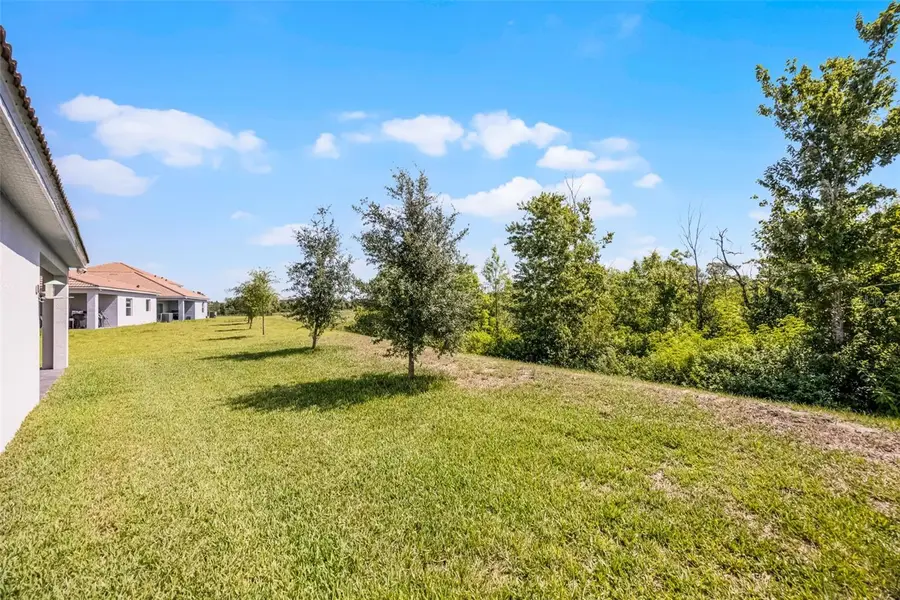 1111 Oak Bluff Drive, Davenport, FL 33837 - Image #3