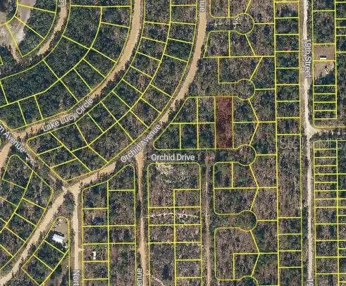 Orchid Drive, Interlachen, FL 32148 - #2