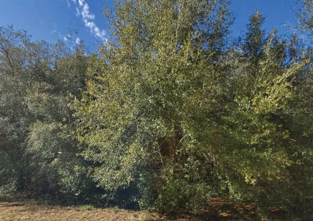 Maltas Avenue, Interlachen, FL 32148 - #1