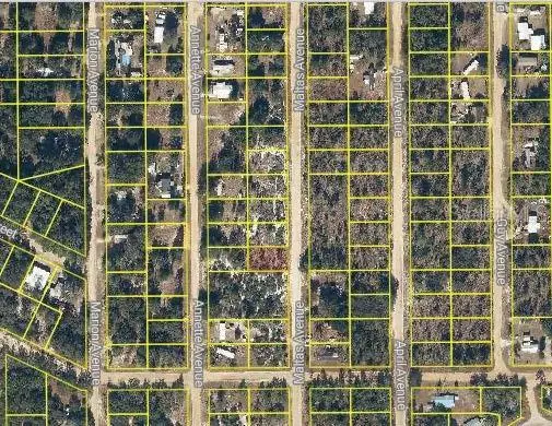 Maltas Avenue, Interlachen, FL 32148 - #2