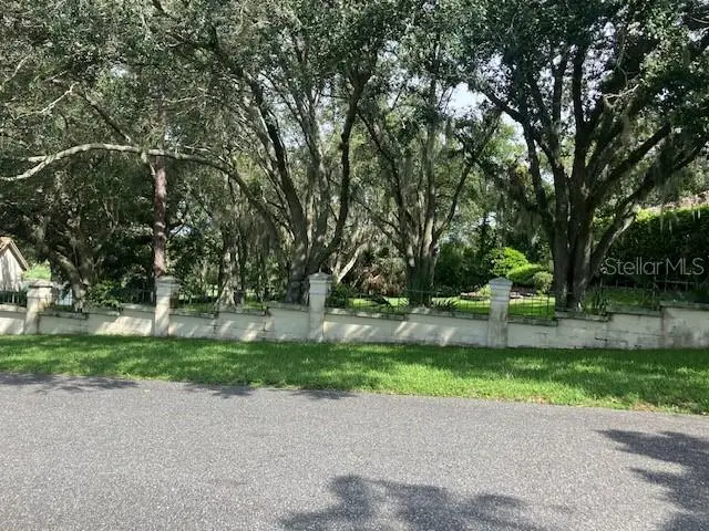 114 W Magnolia Avenue, Howey In The Hills, FL 34737 - Image #2