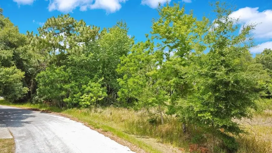 Bahia Rd, Ocala, FL 34472 - #3