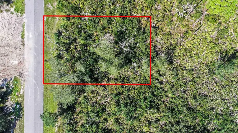 1343 Homosassa Drive, Poinciana, FL 34759 - #2