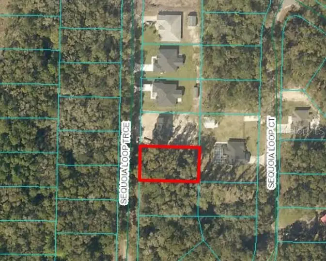 17 Sequoia Trace, Ocklawaha, FL 32179 - Image #1