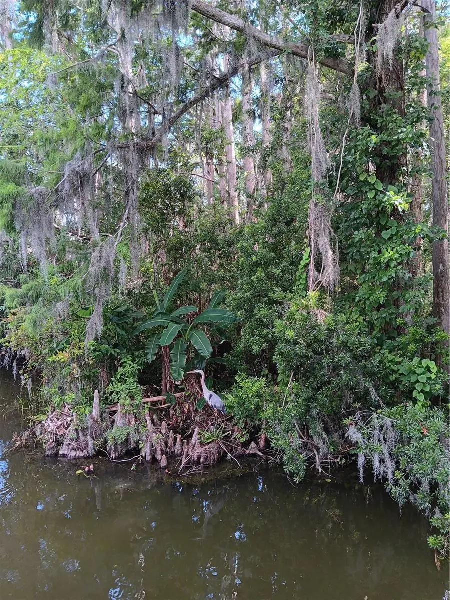 9117 E Royal Palm Drive, Inverness, FL 34450 - Image #2