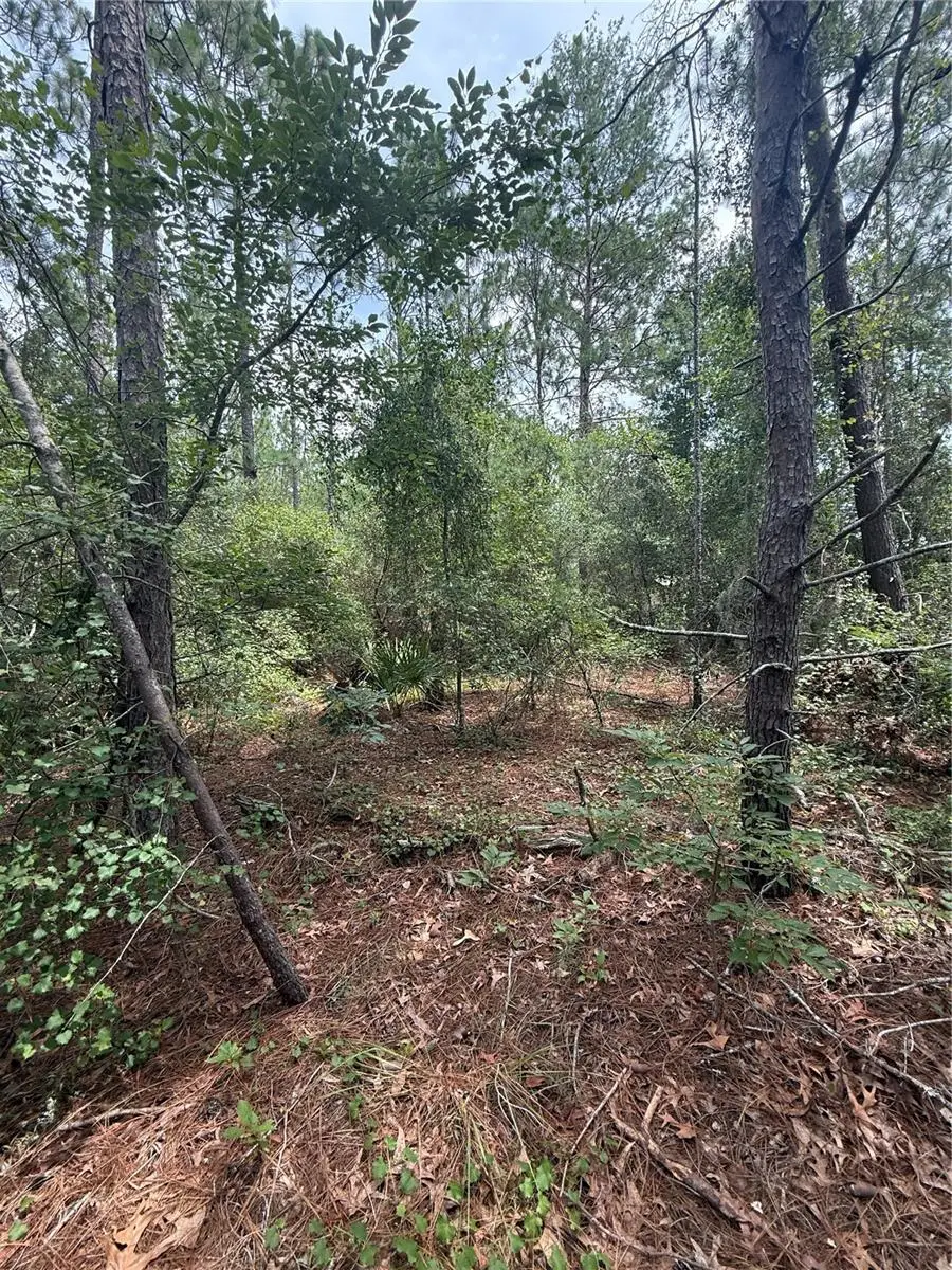 SW 38th Circle, Ocala, FL 34473 - #1