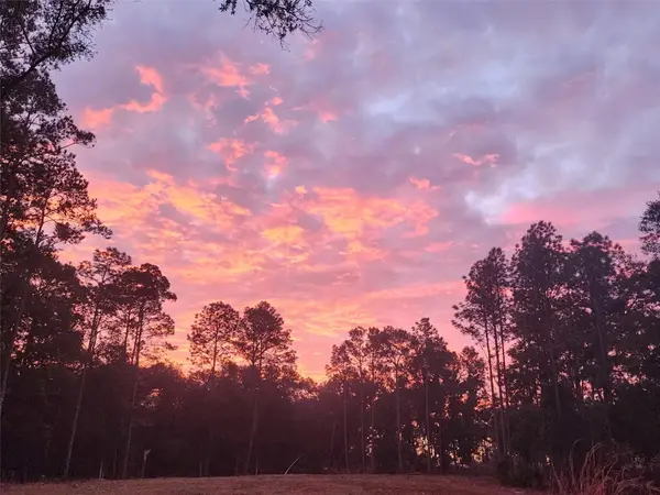 12864 SW 41st Place, OCALA, FL 34481