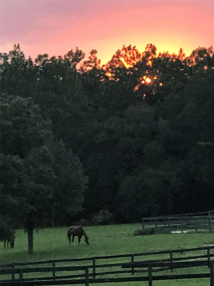 12864 SW 41st Place, Ocala, FL 34481 - #2