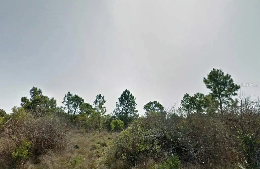 Dalewood Circle, North Port, FL 34288 - Image #1