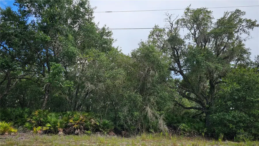 1005 Plumosa Drive, Indian Lake Estates, FL 33855 - Image #2