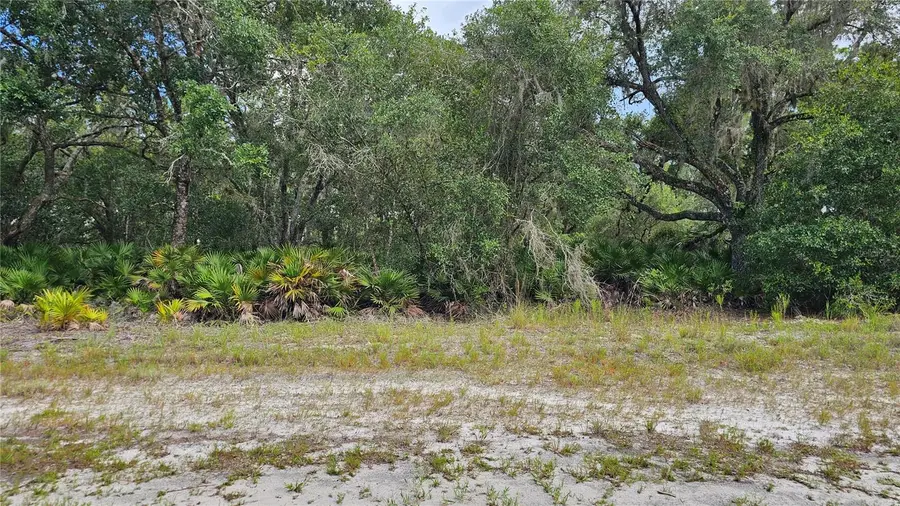 1005 Plumosa Drive, Indian Lake Estates, FL 33855 - Image #3