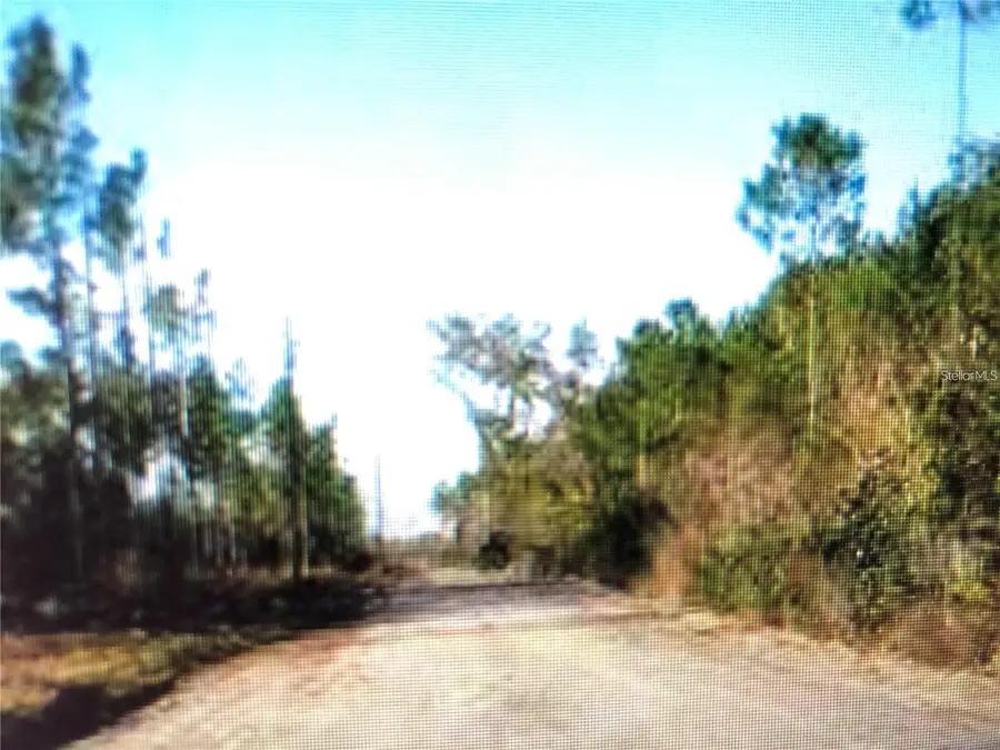 35 Acres Madison Main Line, Perry, FL 32347 - Image #2